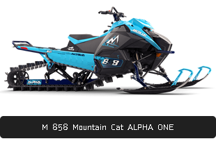 M 8000 Mountain Cat ES A1